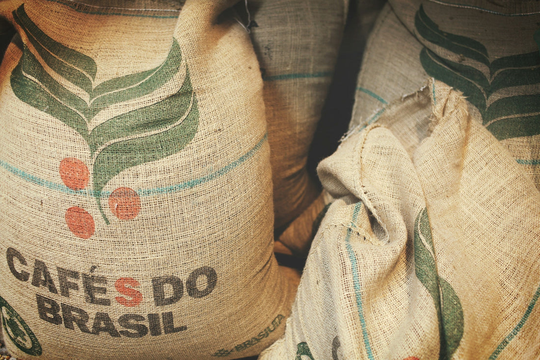 The Economics of Coffee Trade and Logistics: A Comprehensive Overview