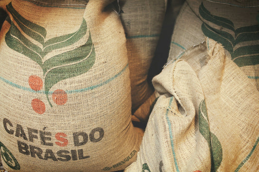 The Economics of Coffee Trade and Logistics: A Comprehensive Overview